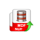 export options